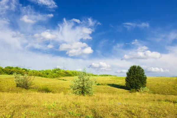 Paisagem de verão: céu azul nublado sobre prados e árvores — Fotografia de Stock
