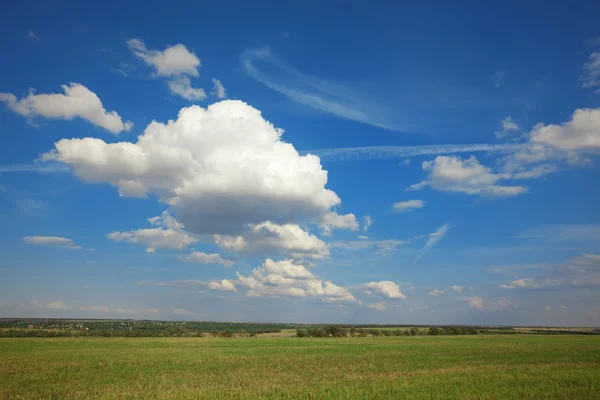 夏日风景: 阴天蔚蓝的天空，绿色的草地上 — 图库照片
