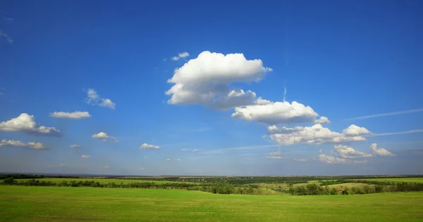 여름 풍경: 녹색 풀밭 위에 흐린 푸른 하늘 — 스톡 사진