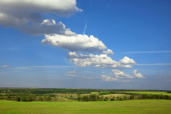 Yaz manzara: yeşil çayır üzerinde bulutlu mavi gökyüzü