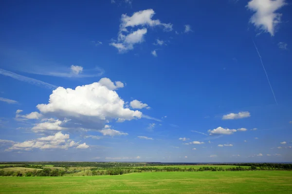Summer landscape: cloudy blue sky over green meadow — Stock Photo, Image
