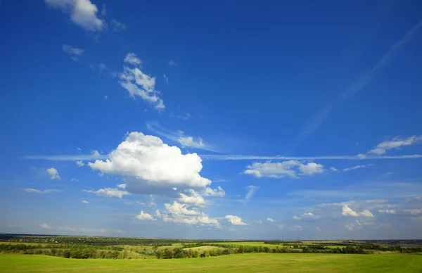 Летний пейзаж: облачно-голубое небо над зеленым лугом — стоковое фото