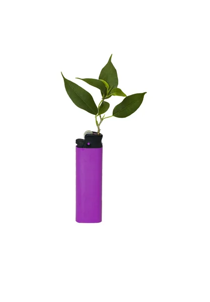Violet lighter with a green branch — Stock Photo, Image