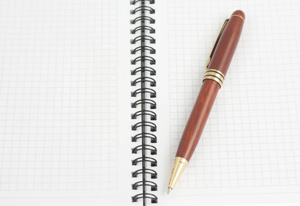 Ручка на чистых простынях спирали ноутбука, вид сверху — стоковое фото