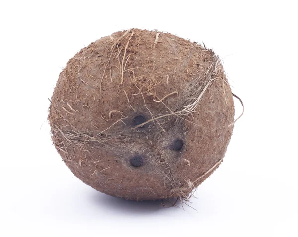 Braune Kokosnuss auf weißem Hintergrund — Stockfoto