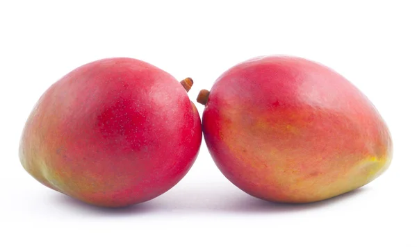 Dos mango de frescura sobre blanco —  Fotos de Stock