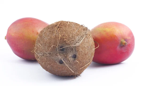 Kókusz és két mangos fehér háttér — Stock Fotó