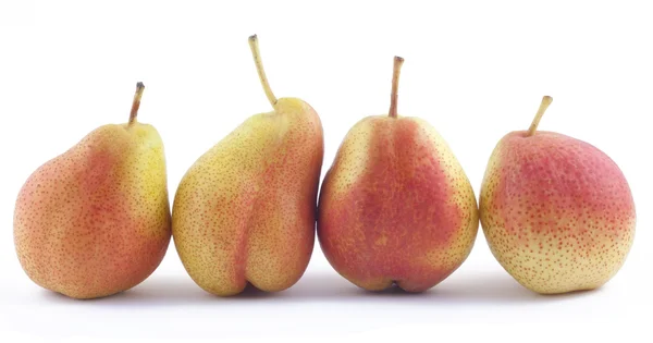 Four pears in a rank on white background — Stock Photo, Image