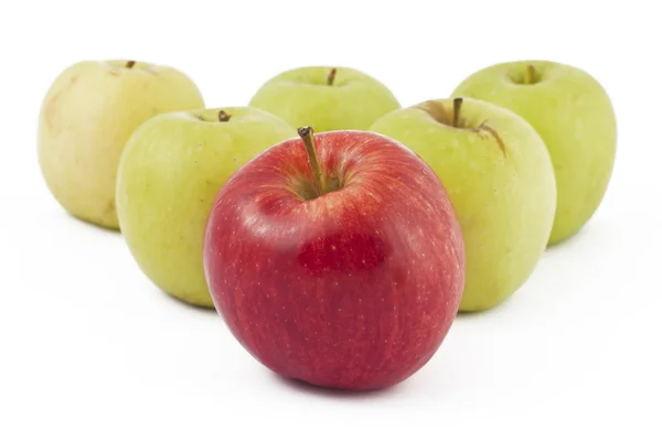 Красное яблоко впереди многих зеленых на белом — стоковое фото