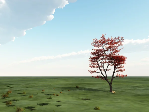 Einzelner Baum am Horizont — Stockfoto