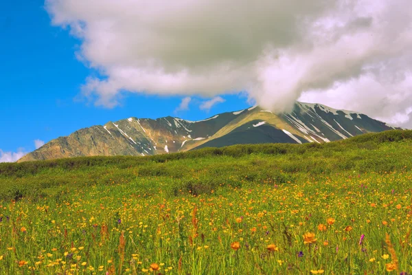 6 di Altai — Foto Stock