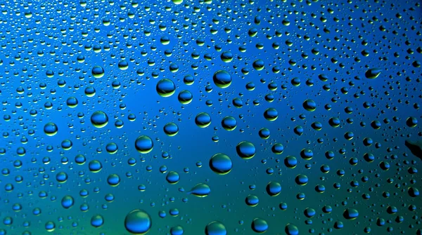 Many water drops — Stock Photo, Image