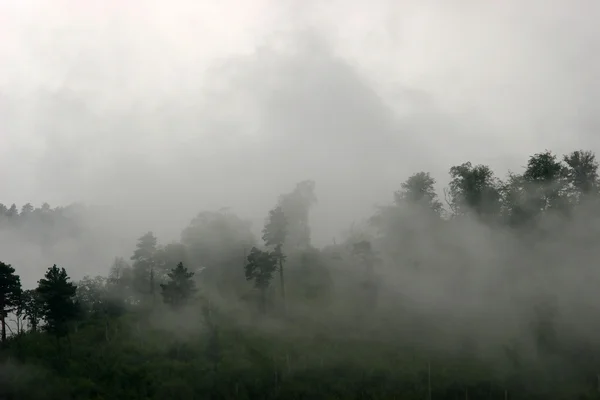 Облака на склоне холма — стоковое фото