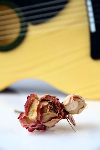 stock image Rose and guitar