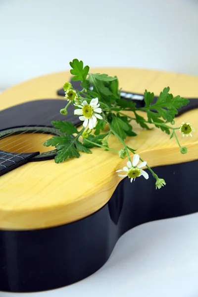 Floresce e guitarra — Fotografia de Stock