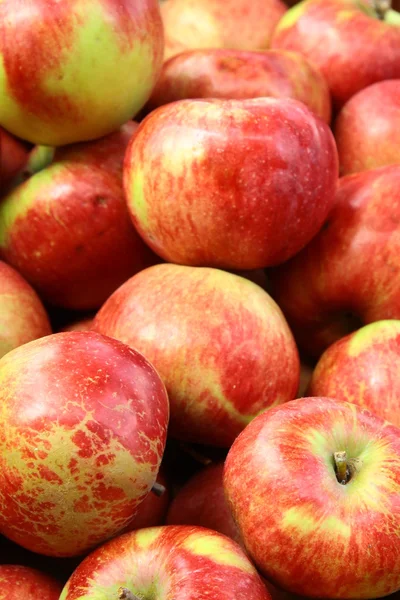 En massa röda äpplen — Stockfoto