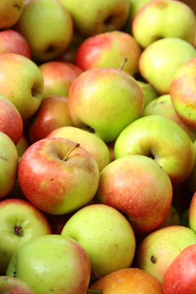 Många äpplen — Stockfoto