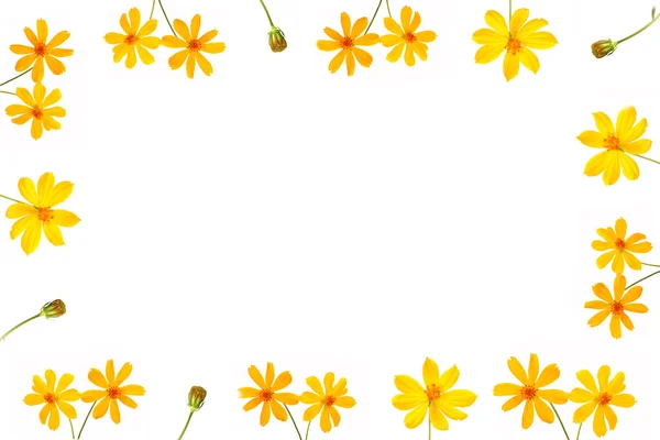Ramka kwiatowa — Zdjęcie stockowe