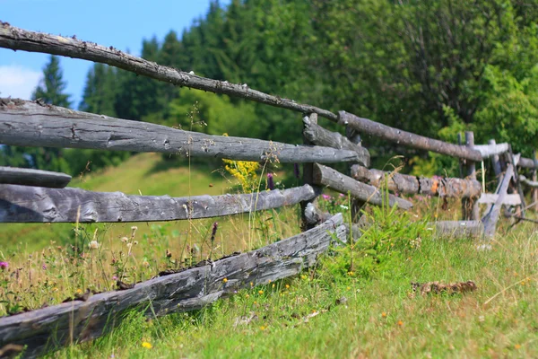 stock image Old Fence
