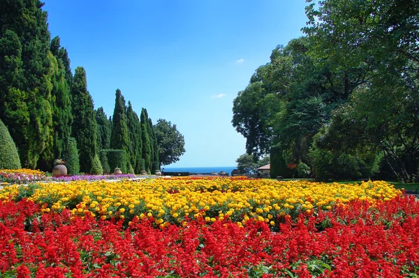 stock image Garden