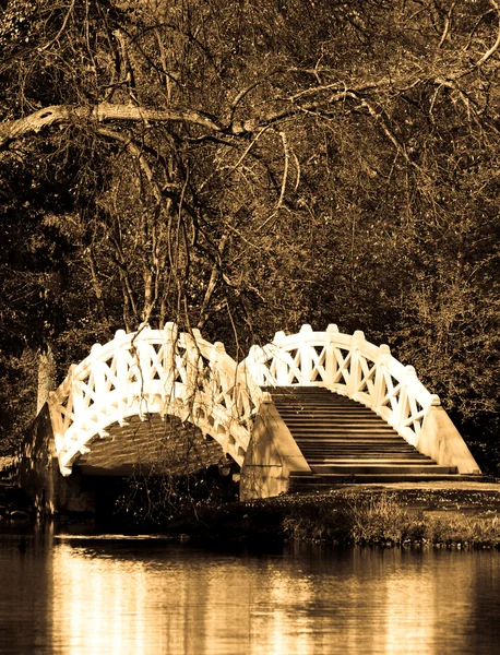 สะพาน — ภาพถ่ายสต็อก