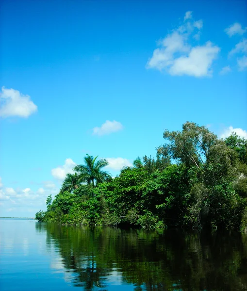 萨帕塔沼泽 — 图库照片