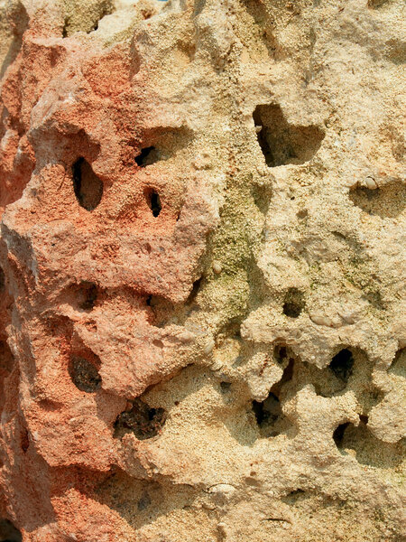 Многоцветный известняк
