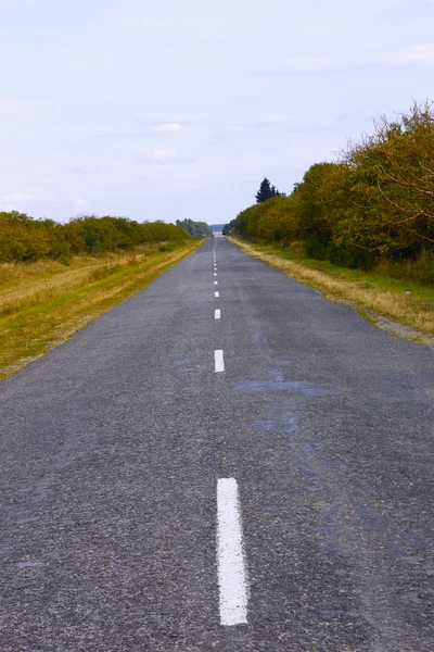 Obszarów wiejskich drogach pokryta asfaltem. pionowe — Zdjęcie stockowe