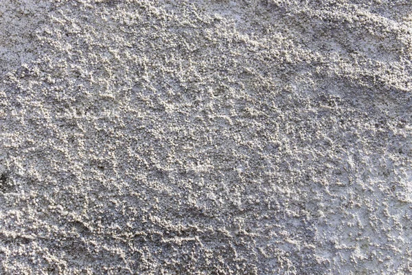 Calcaire coupé comme fond — Photo