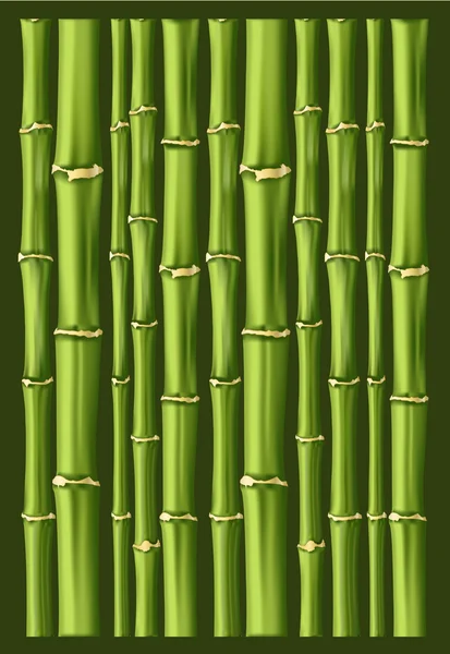 Fondo de bambú — Vector de stock