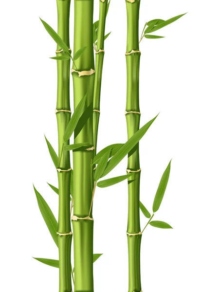 Bambu Vektorgrafik