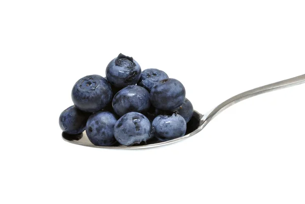 stock image Blueberries