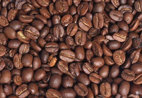 stock image Coffee beans