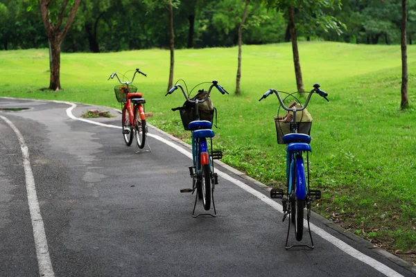 Bicicletta in parco — Foto Stock