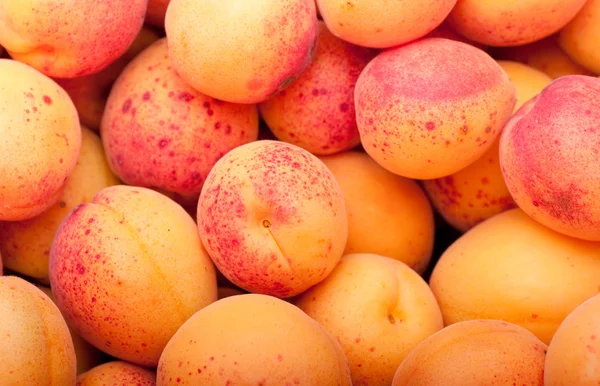 stock image Apricots