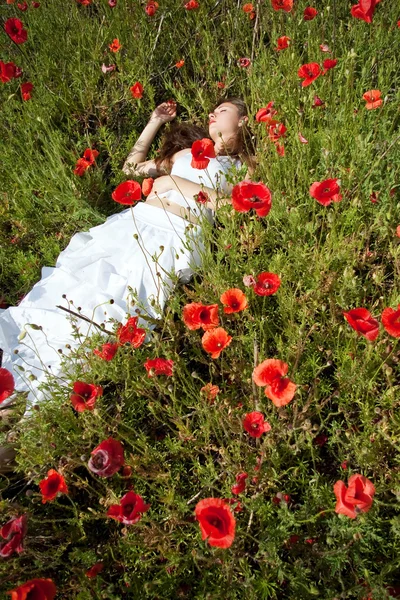 stock image Girl in poppies