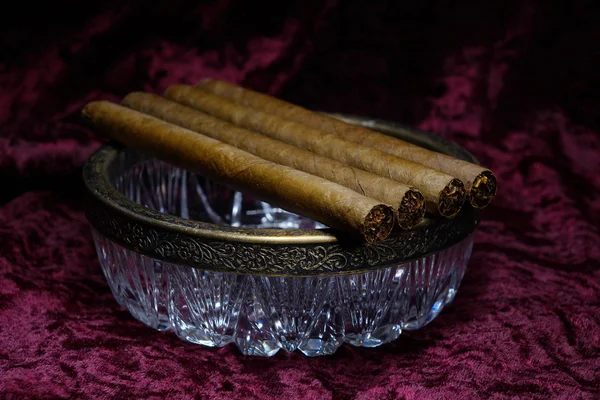 Four cigars — Stock Photo, Image