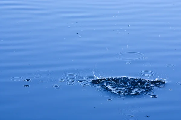 湖上飞溅的水 — 图库照片