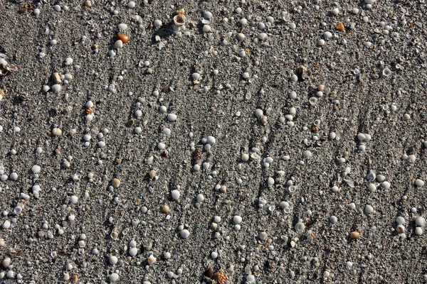 Sand and shell — Stock Photo, Image