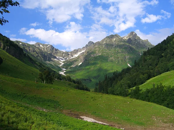 The Mountains in Summer — Stock Photo, Image