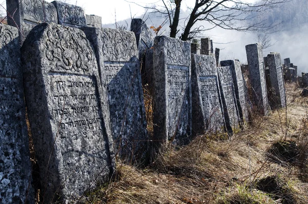 Gravestones on jewish graveyard in city Kremenec — Stock Photo, Image