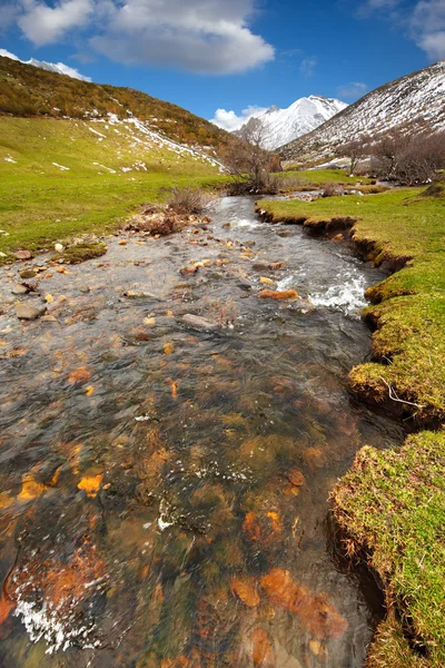 stock image Thaw river