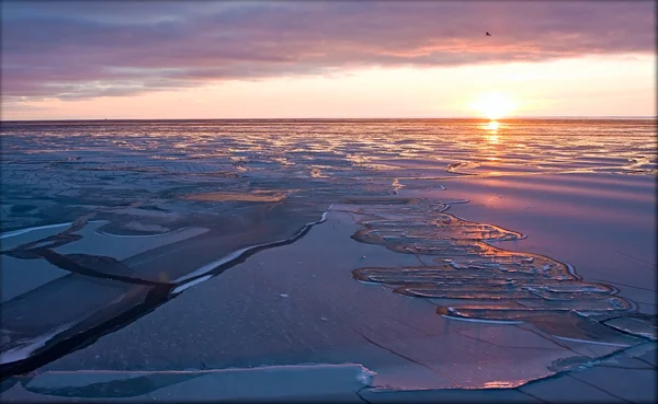 Silencio ártico Imagen de archivo