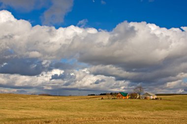 House in field clipart