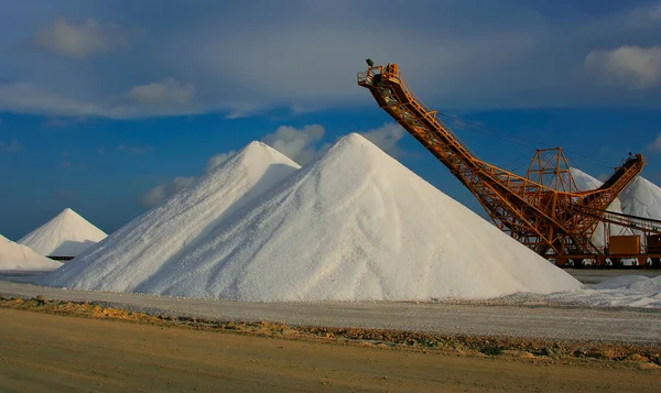 stock image Salt