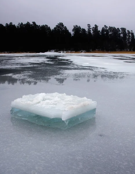얼음 차가운 겨울 — 스톡 사진