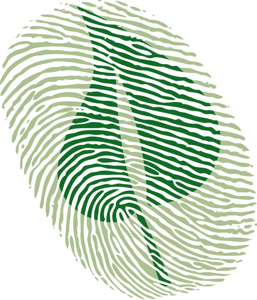 緑の葉の指紋 — ストックベクタ