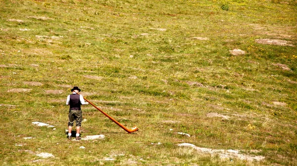 stock image Alphornist in the Swiss Alps