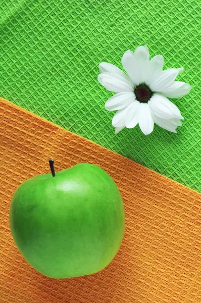 White chrysanthemum and green apple — Stock Photo, Image