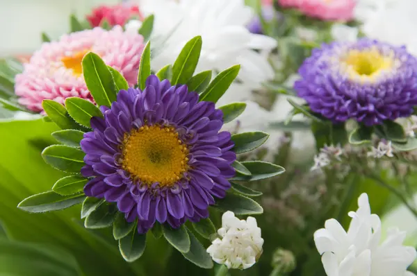 Букет разноцветных летних цветов — стоковое фото